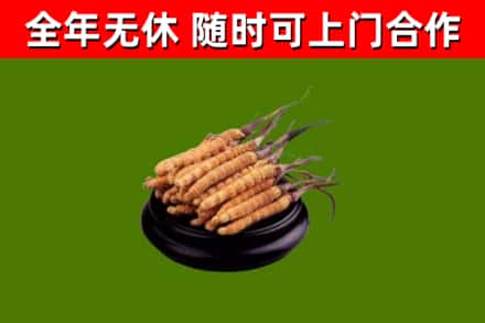 务川县烟酒回收冬虫夏草.jpg